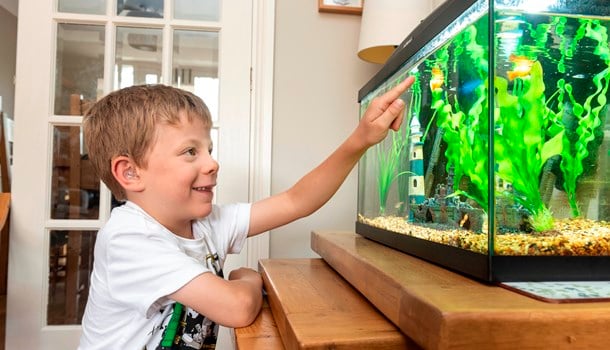 Elliot wearing his hearing aids and touching a fish tank.