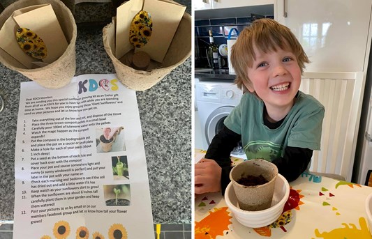 Side by side images of a piece of paper with instructions for growing sunflowers and a photo of a young boy in front of a plant pot