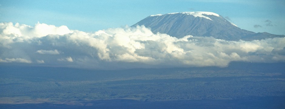 Mount Kilimanjaro in the distance, elephants in the foreground