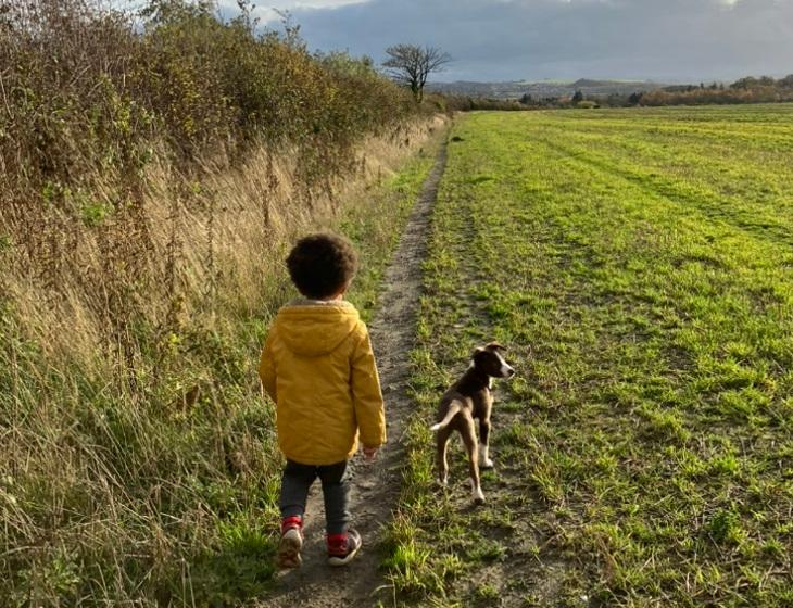 Photo of Benji from behind, he is wearing a yellow coat and is walking along a field with a grey and white puppy.