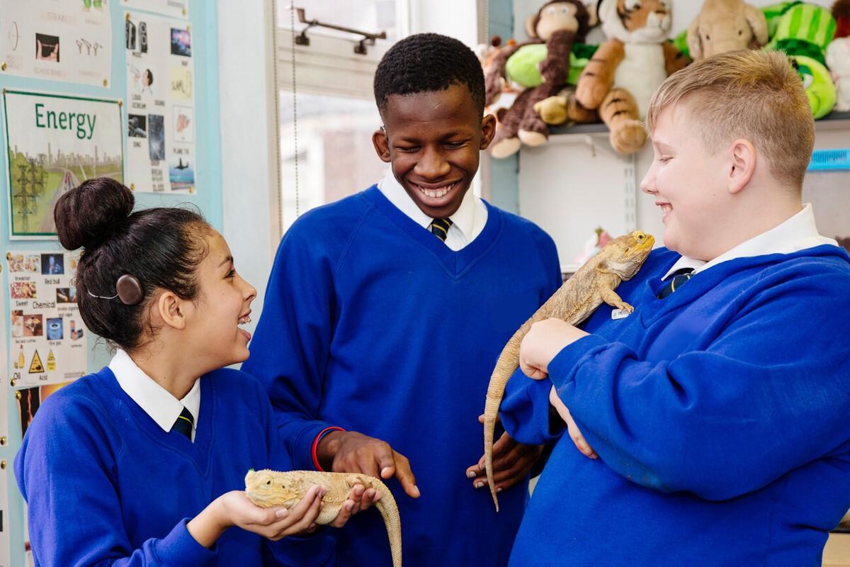 Three secondary-aged pupils playing with two lizards in class