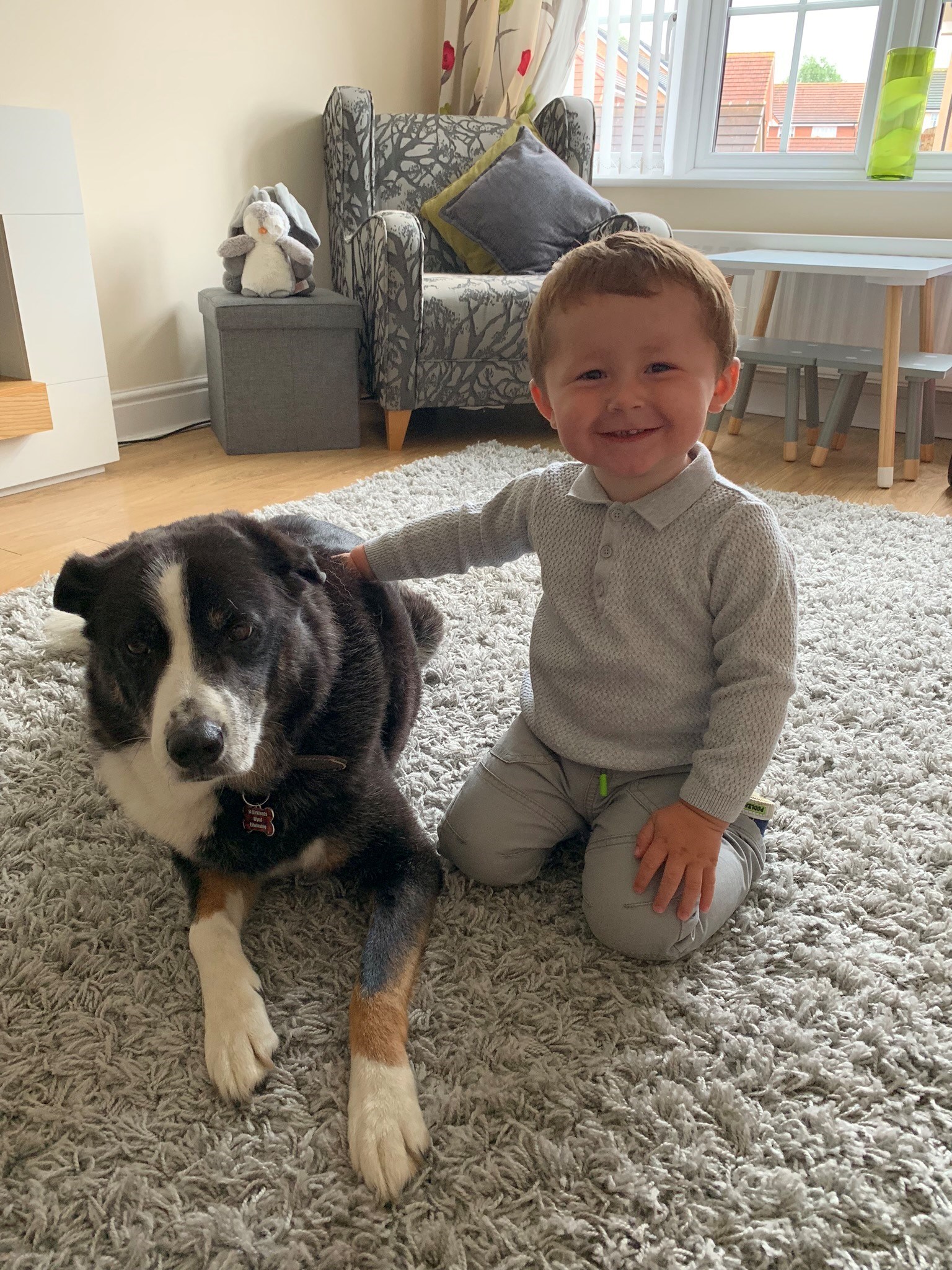 Little boy wearing grey sitting with black and white dog