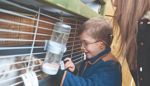 A boy with microtia and a bone-anchored hearing aid (BAHA) and glasses looking at a bunny in a cage.