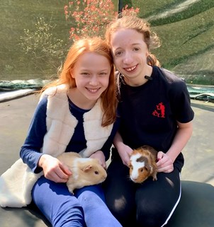 Two sisters sitting on a trampoline holding guinea pigs