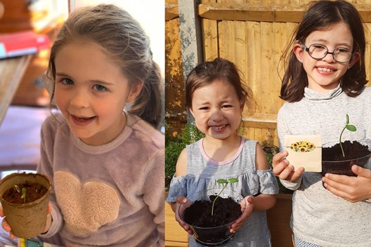 Children with sunflowers