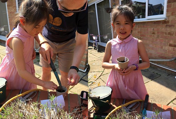 Child planting a flower