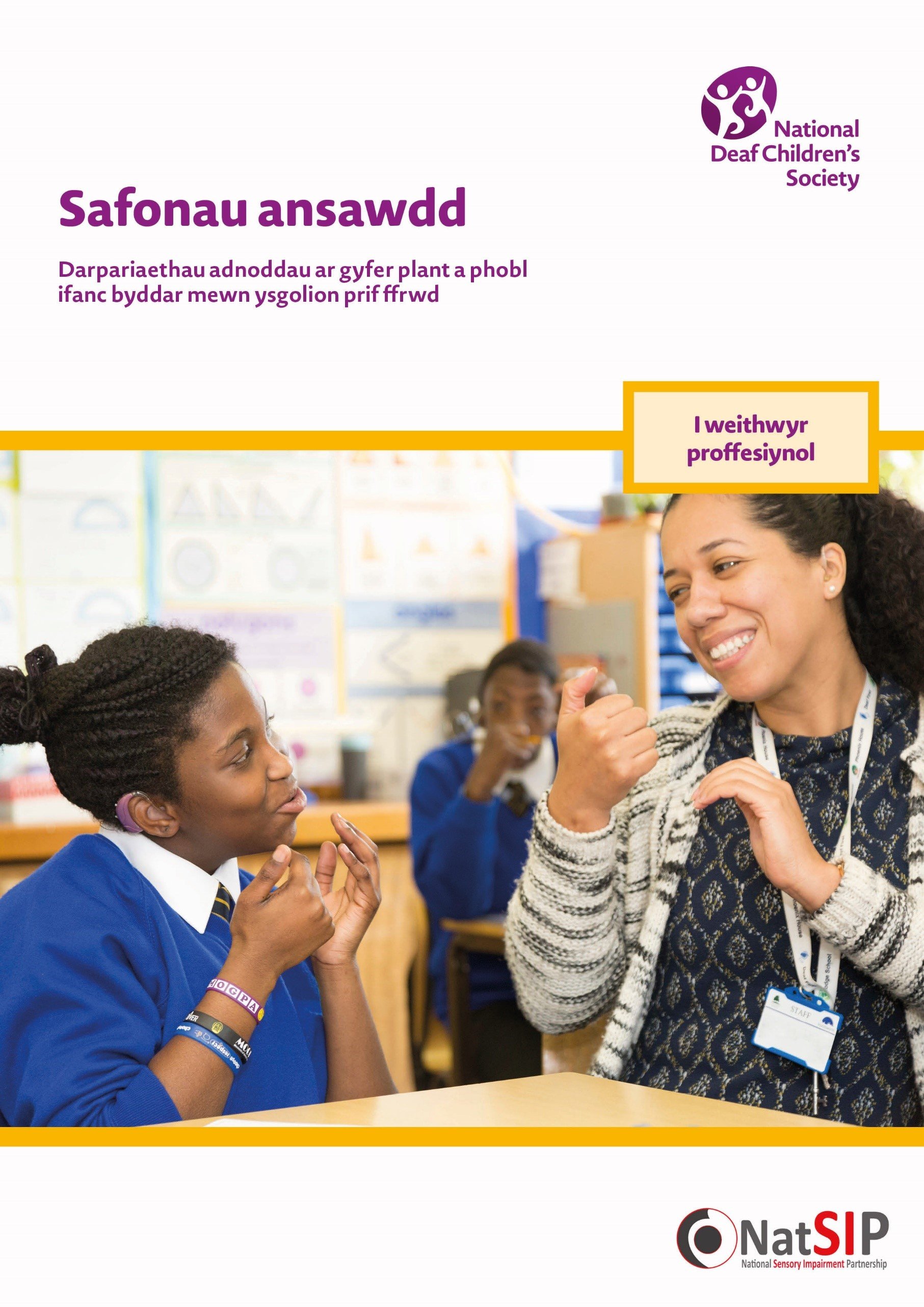 Quality Standards: Resource Provisions for Deaf Children and Young People in Mainstream Schools (Welsh) (1)