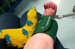 Baby leg in a blood pressure cuff