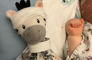 A stuffed zebra toy with a bandage on its head